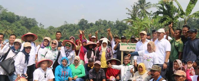 Distribution and assembly of avocado seedlings for Citarum Harum initiative