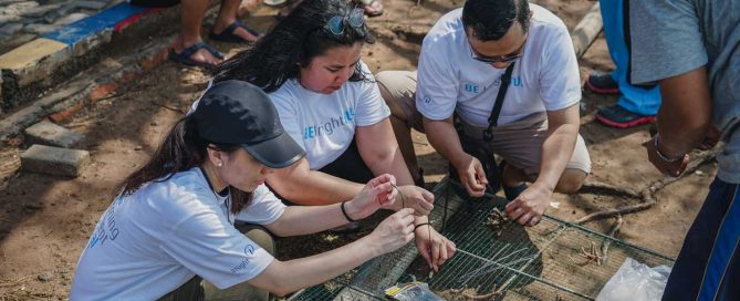 World Ocean Day Restores Mangroves and Coral Reefs on Kelapa Island gallery image 2