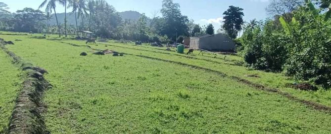 Clean-Water Well Improves Dry-Season Resilience in Bulukumba — gallery image 2
