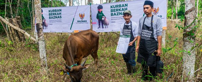 Qurban Assistance Improves Food Access in South Kalimantan — gallery image 3