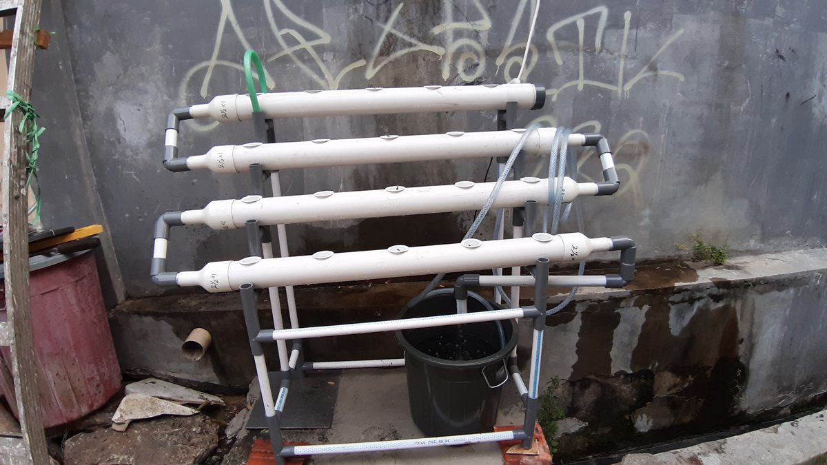 20200912_165428.jpg